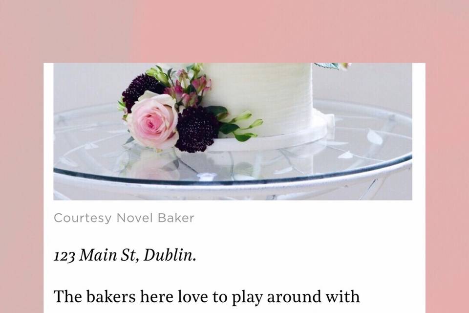 The Novel Baker