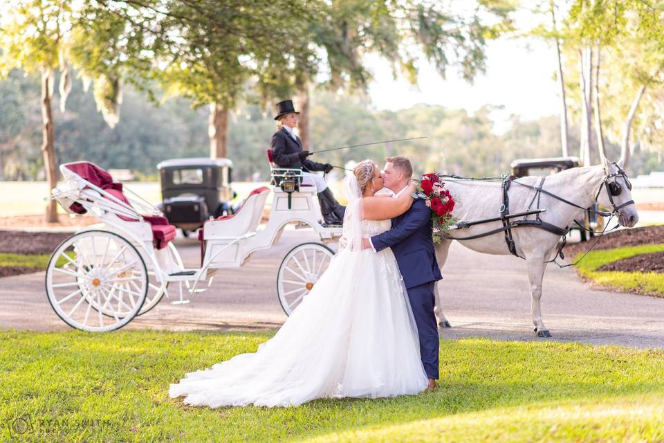 Horse and carriage