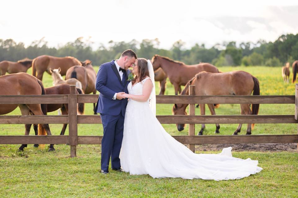 Wildhorse at Parker Farms