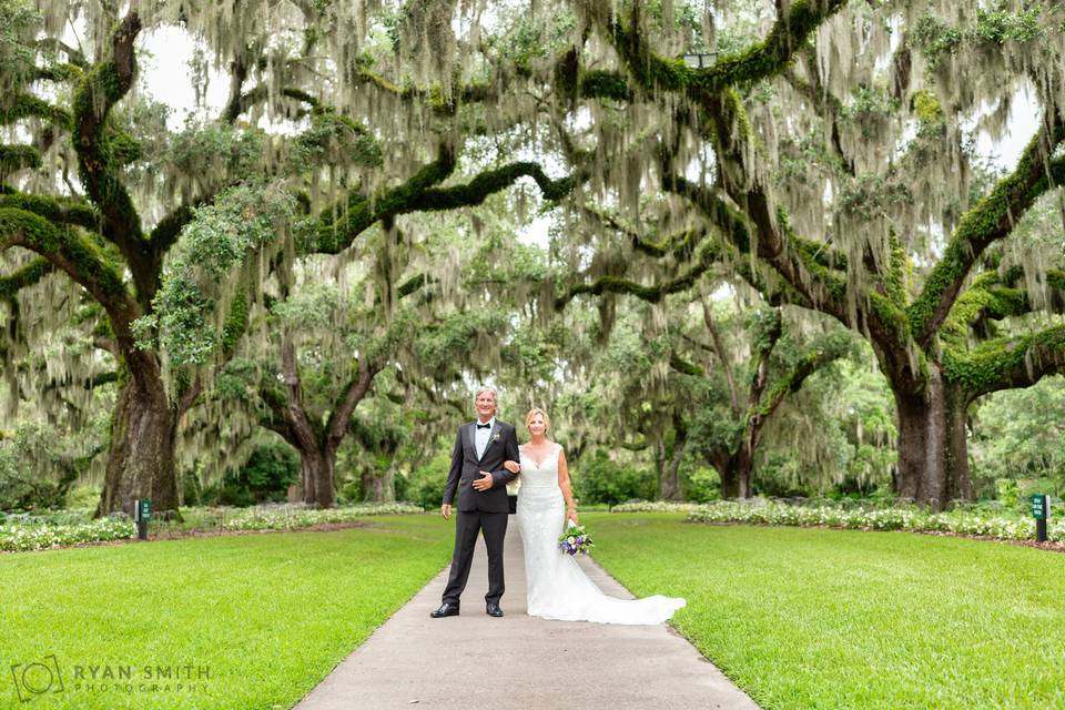 Oak Allee Brookgreen Gardens