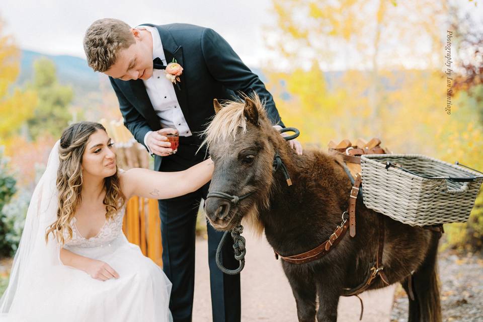 Devil's Thumb Ranch Wedding