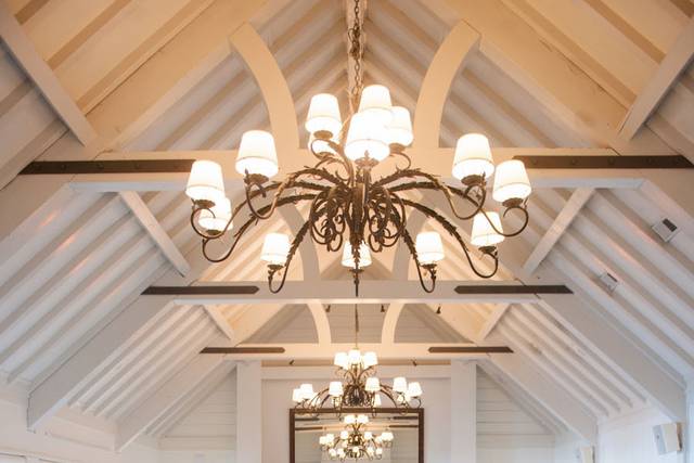 Sugar Magnolias Flowers