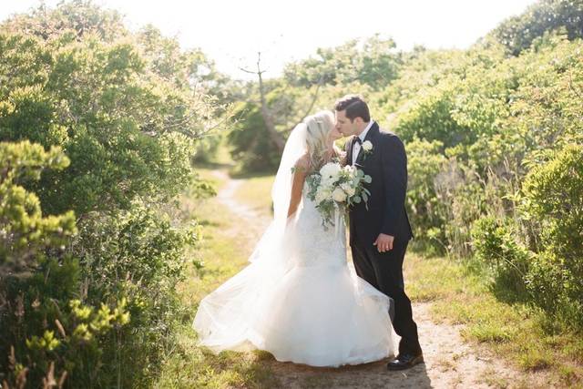 Sugar Magnolias Flowers