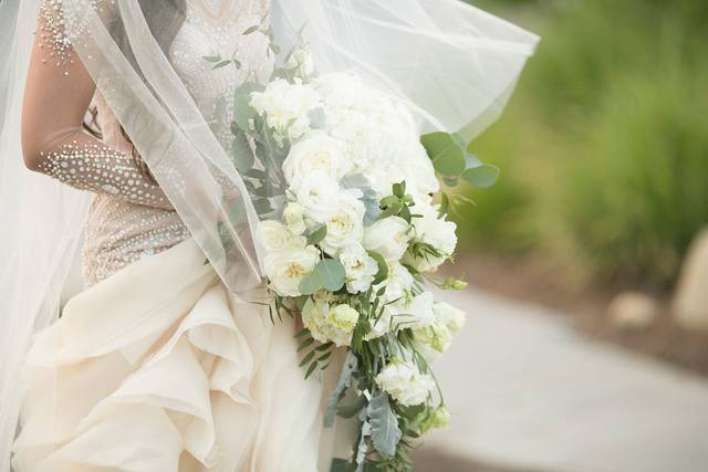 Sugar Magnolias Flowers