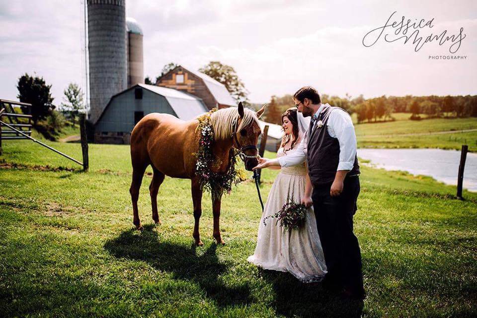 Behind the barn