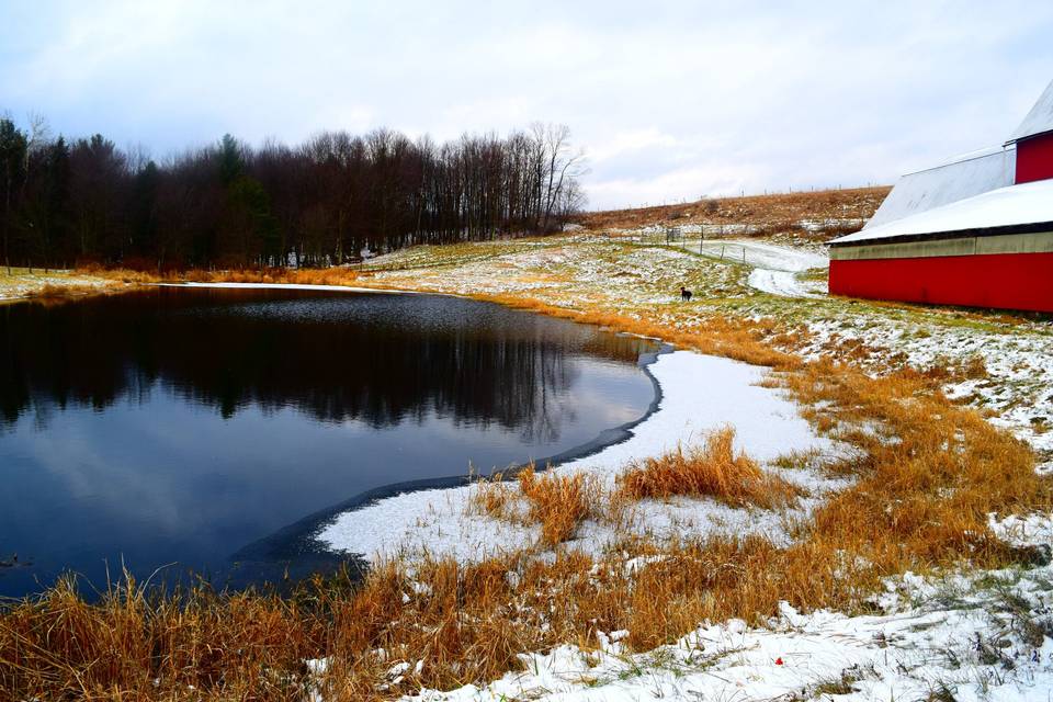 Longacre Farm Weddings