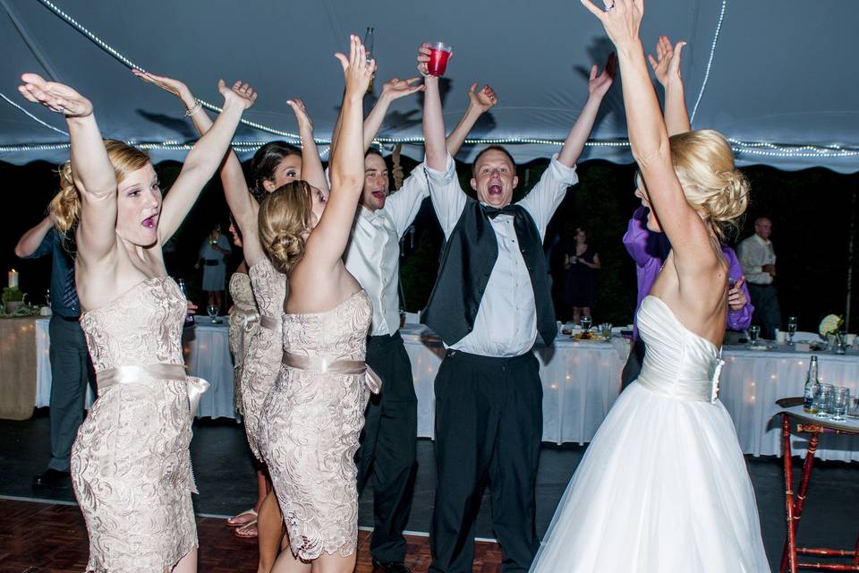 The couple with the bridesmaids and groomsmen