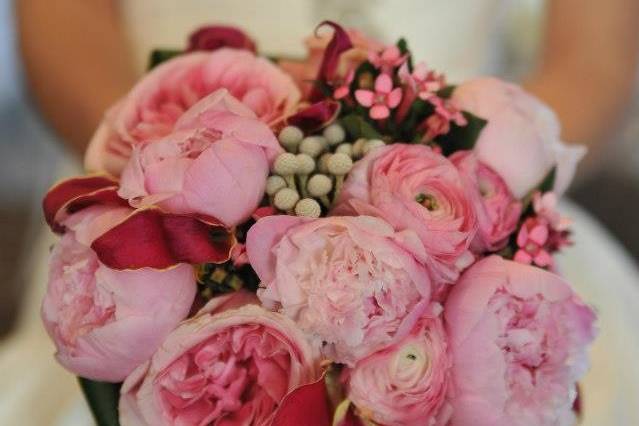 Cattleya Bridal & Floral Design