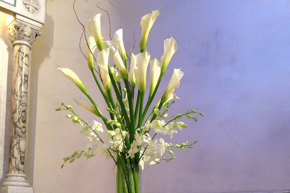 Tall white flowers in a vase