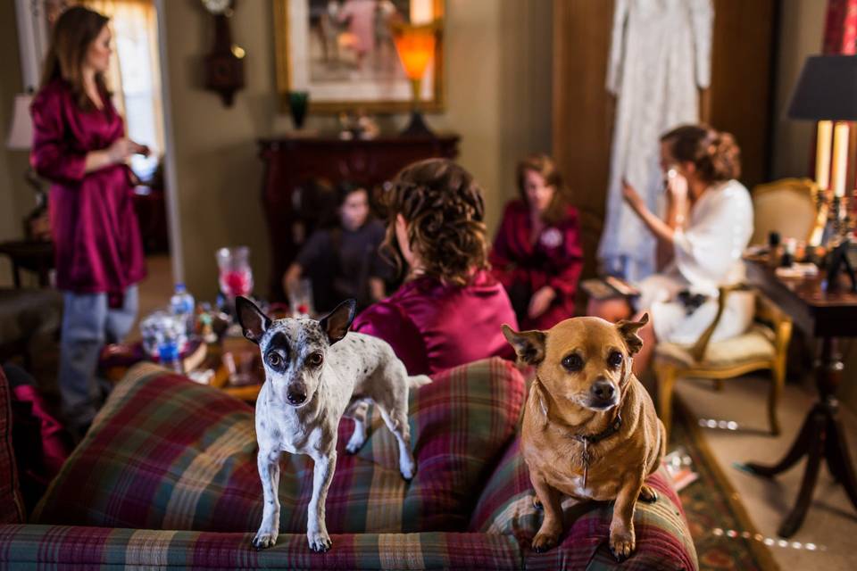 Four-legged friends (Photo by Chase Richardson)