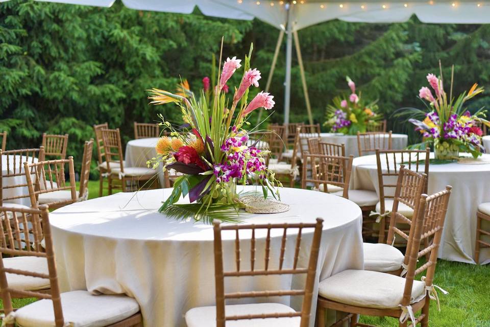 Table Set-Up