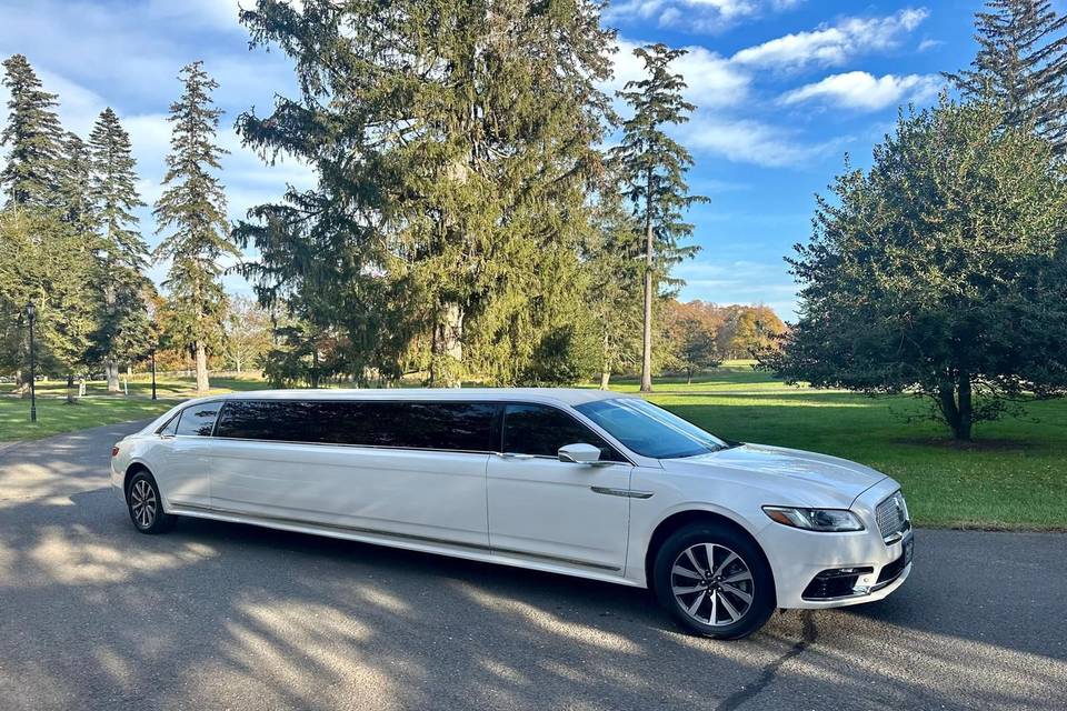 Indy Executive Limo
