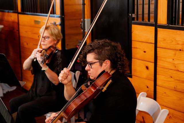 String Trio