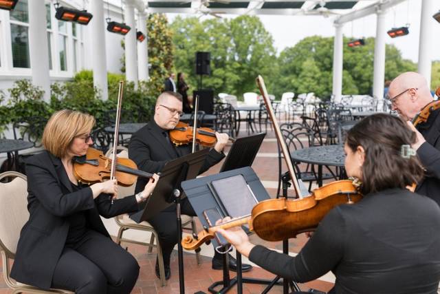 String Quartet