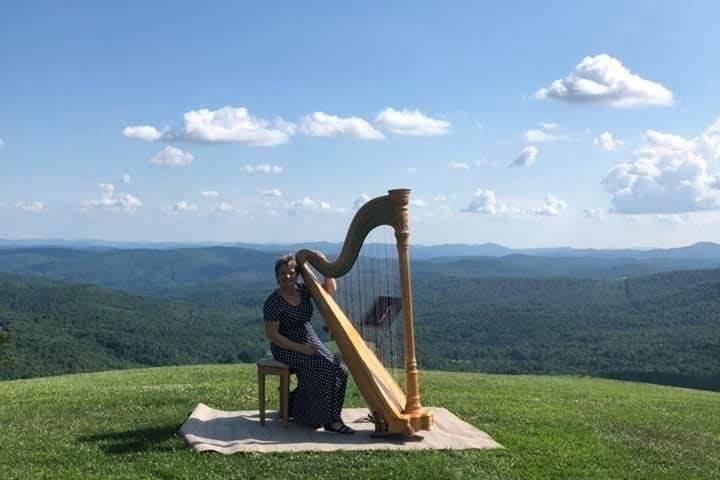 Harpist