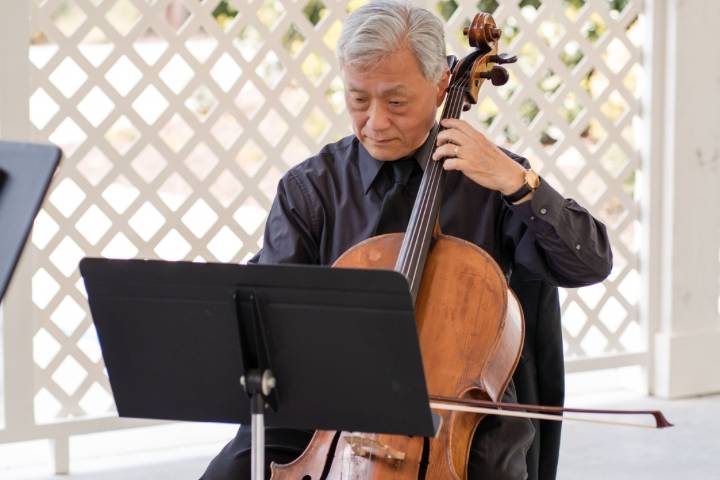 Solo Cellist