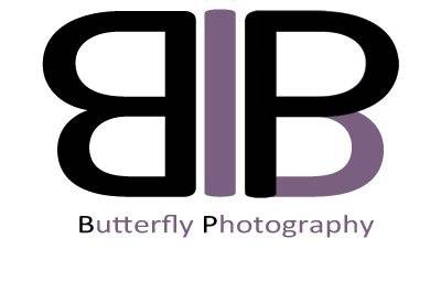 Butterfly Photography