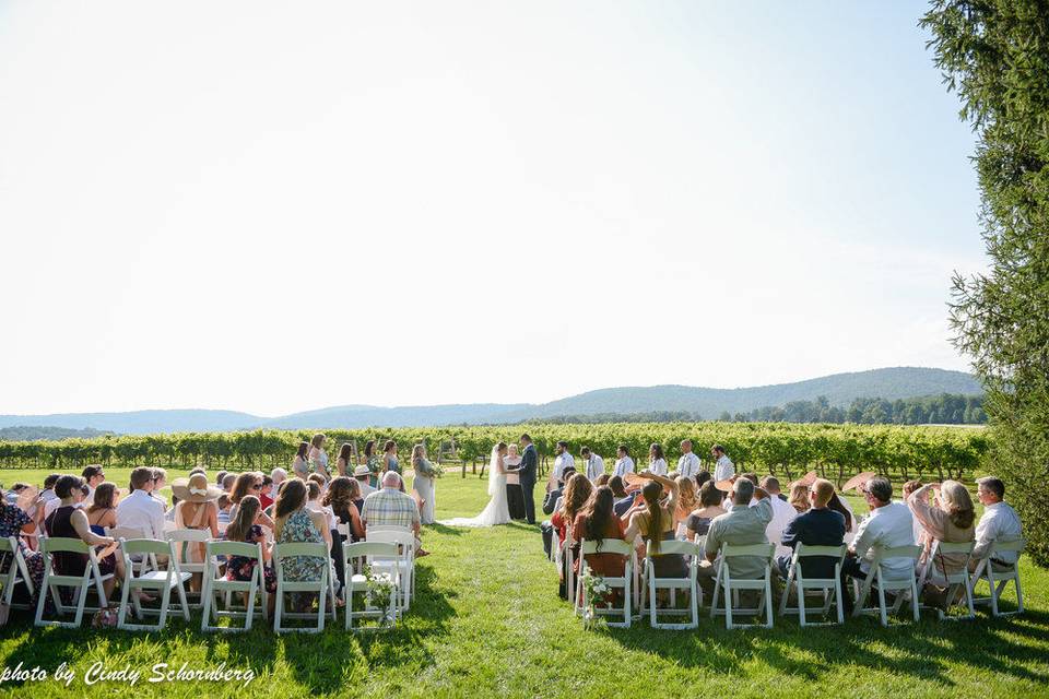 Vineyard Wedding