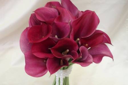 Simply Classic Callas