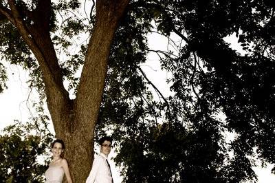 Aly Carroll Photography