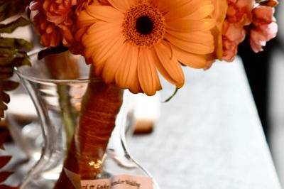 Aly Carroll Photography