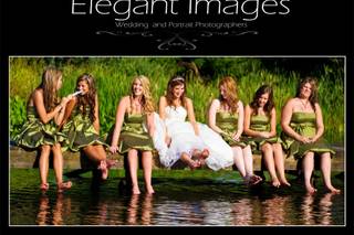 Elegant Images - Seattle Wedding Photographers