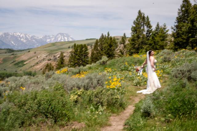 Julia Beemer Photography LLC