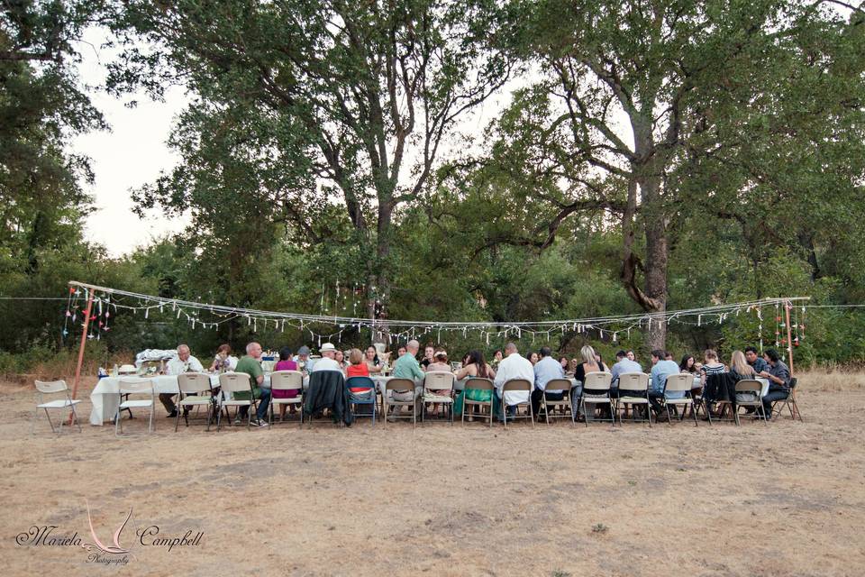 Micro Wedding - Kings Canyon