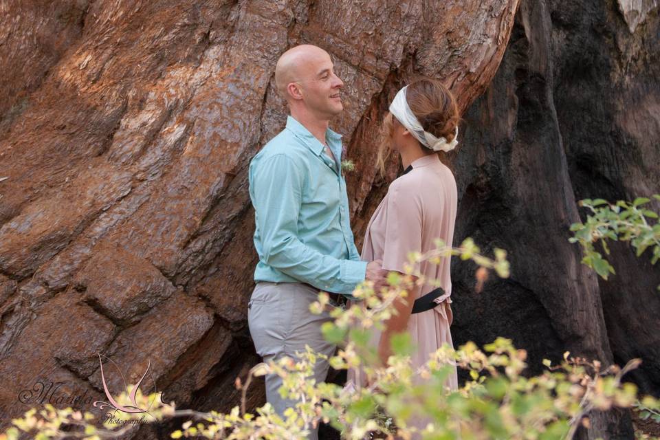 Micro Wedding - Kings Canyon