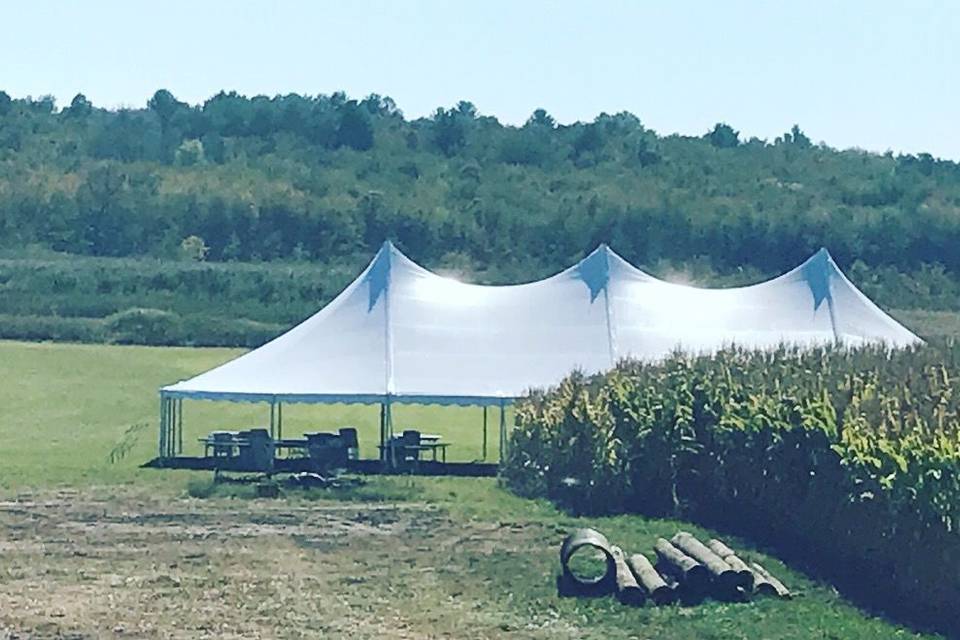 Tent set-up in a field