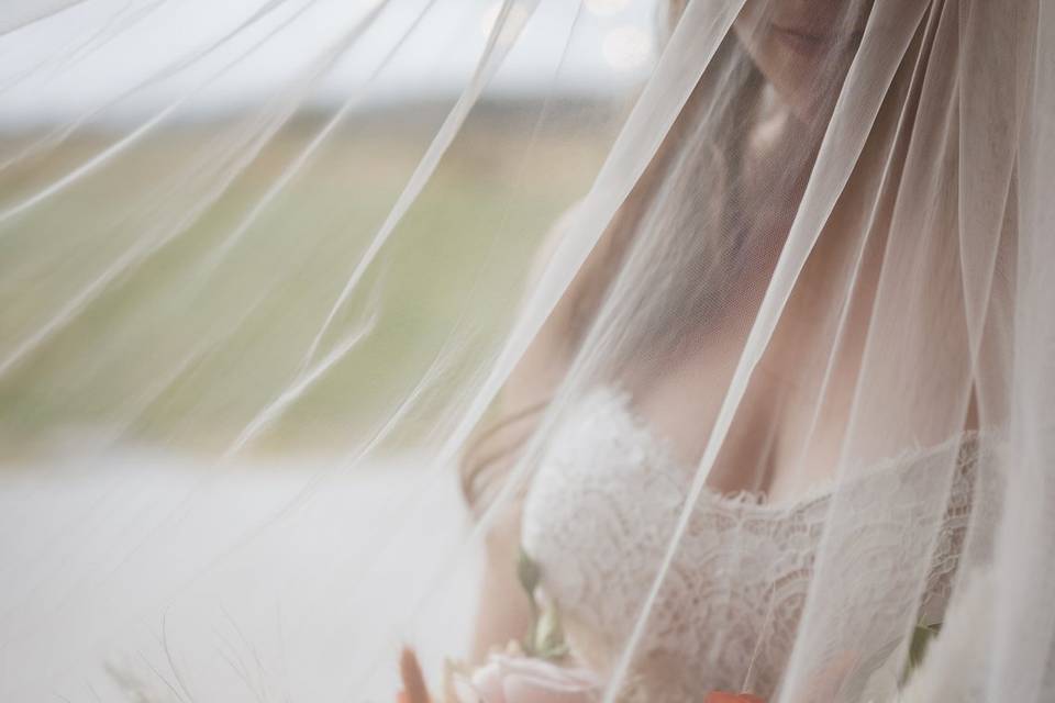 Kiley Stephens Photography