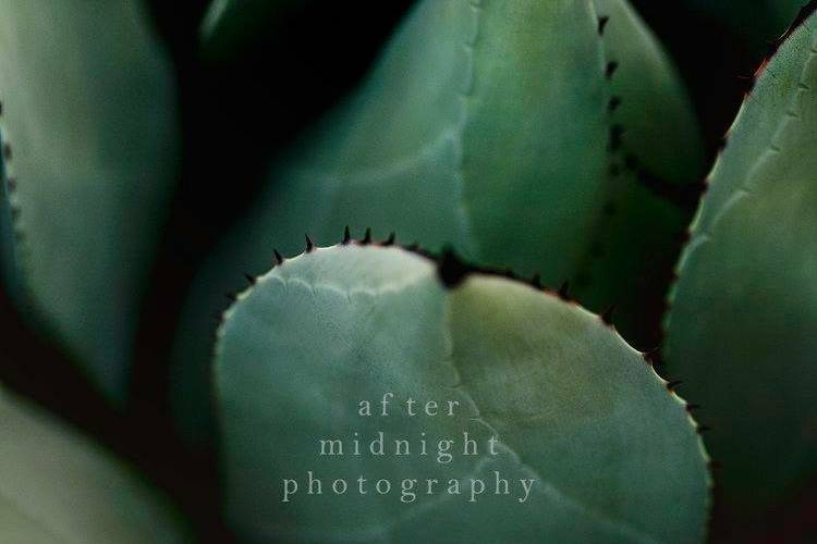After Midnight Photography