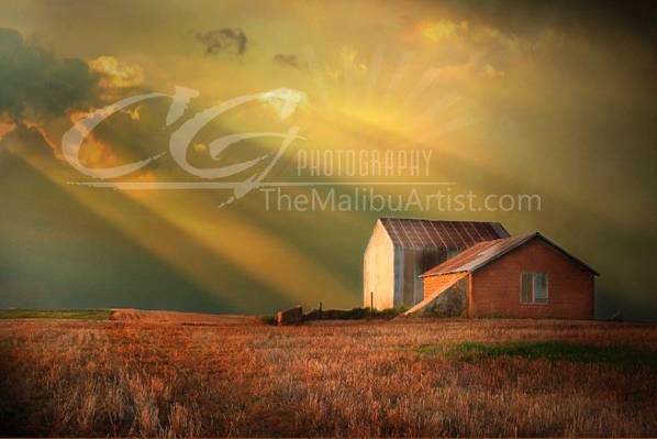 CG Photography- The Malibu Artist