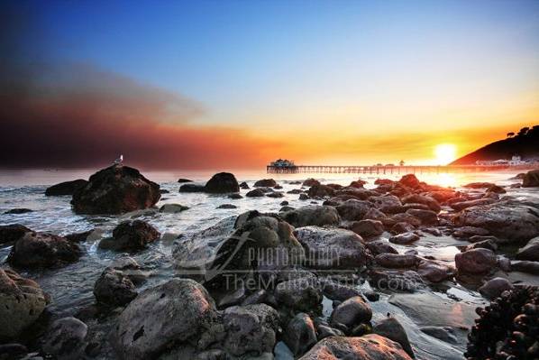 CG Photography- The Malibu Artist