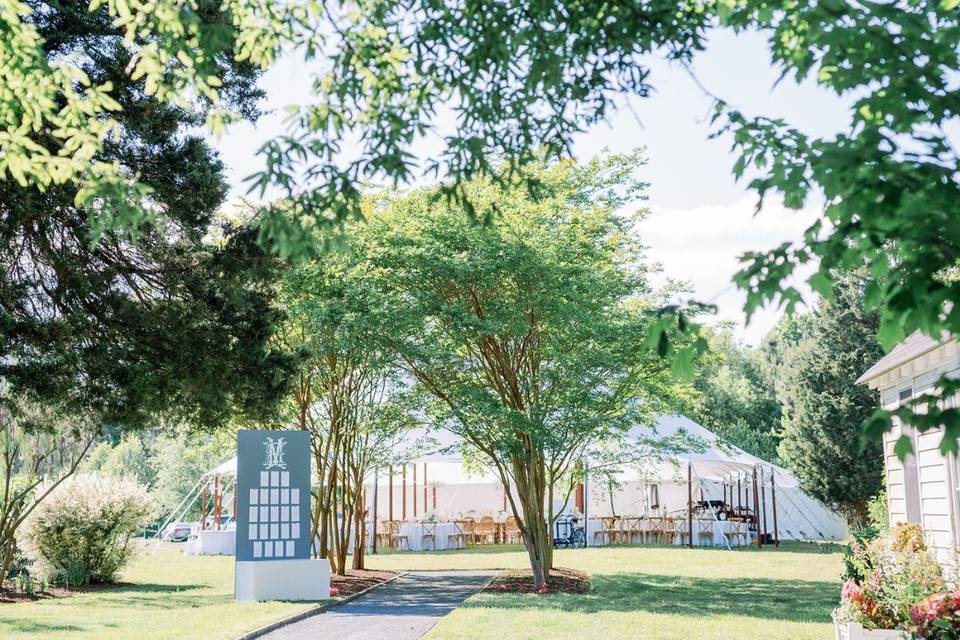 Manda Weaver Photography