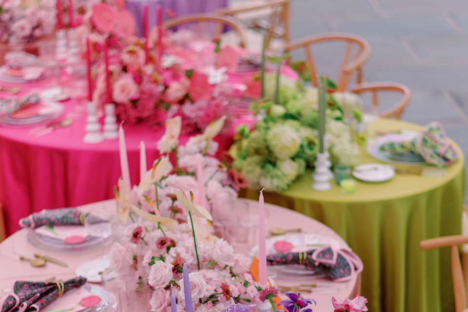 Manda Weaver Photography