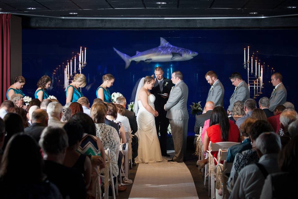 Wedding by an aquarium