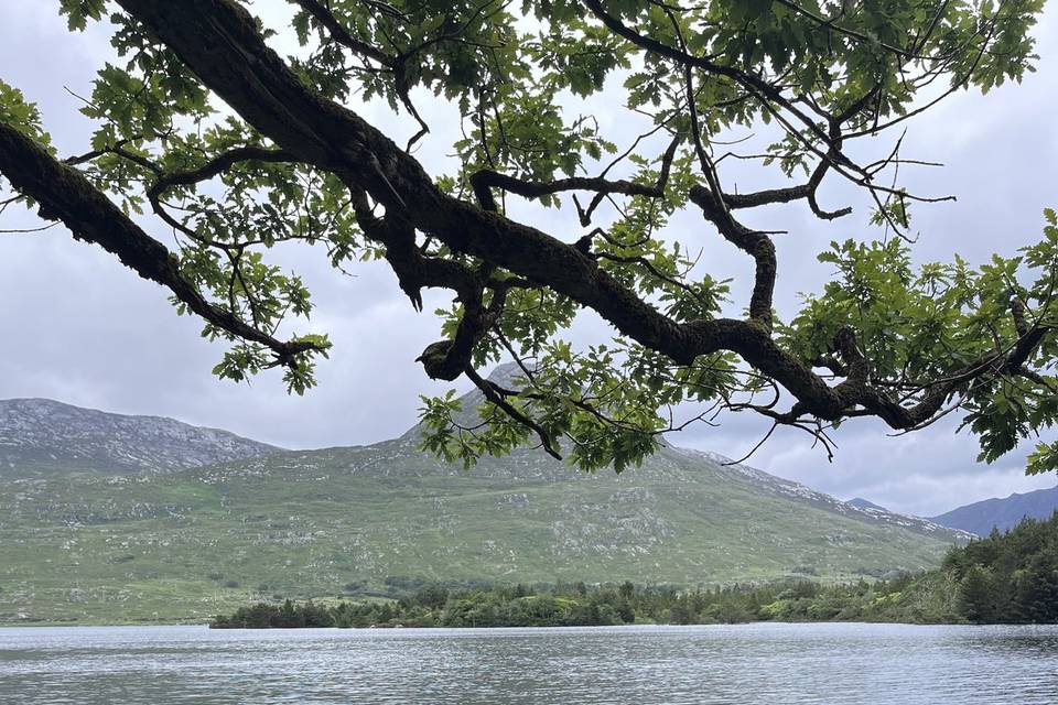 Ballynahinch, Ireland