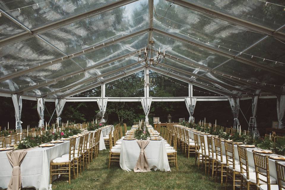 Clear top frame tent