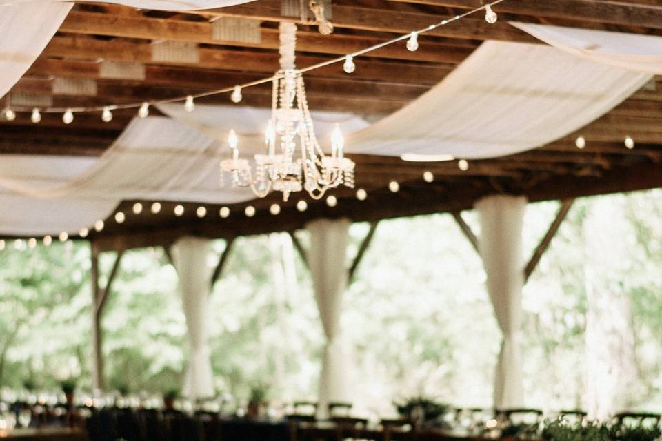 Sheer ceiling design | Heather Jowett Photo