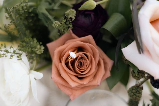 Jesse Adair Photography