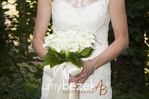 AB Photography LLC -Amy Bezek