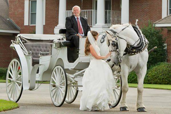 Bay Limousine Service