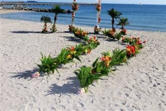 Tropical aisle, arch and palm trees