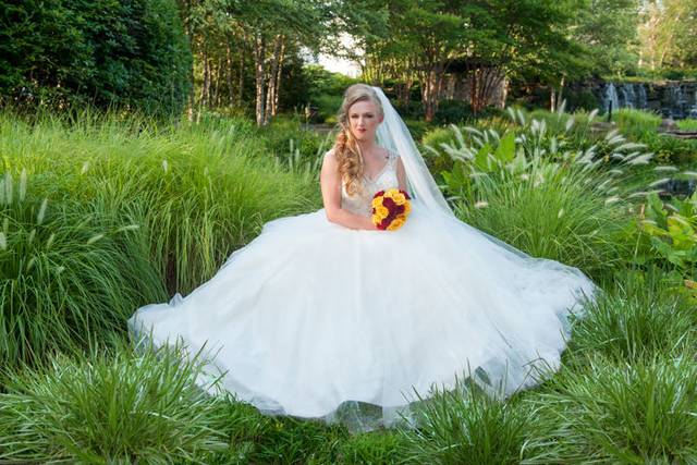 Four Seasons Photography