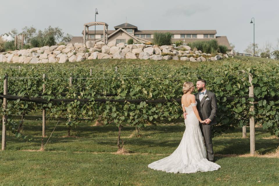 Our Vineyards & Main Building