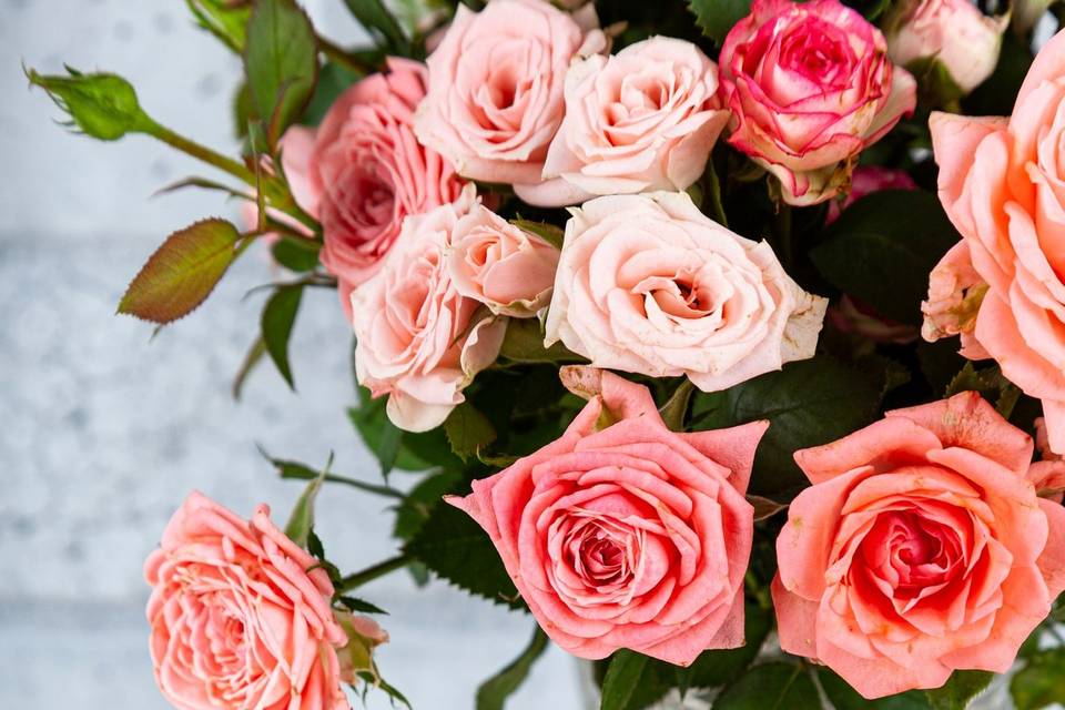 Acushnet Flower Company