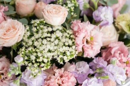 Acushnet Flower Company
