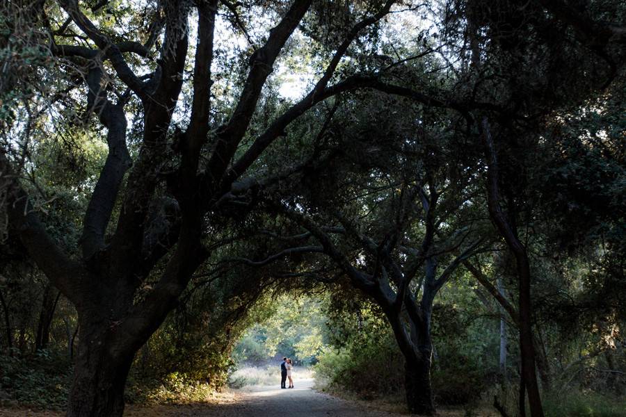 Couple beyond the trees - Burlap + Blossom Photography