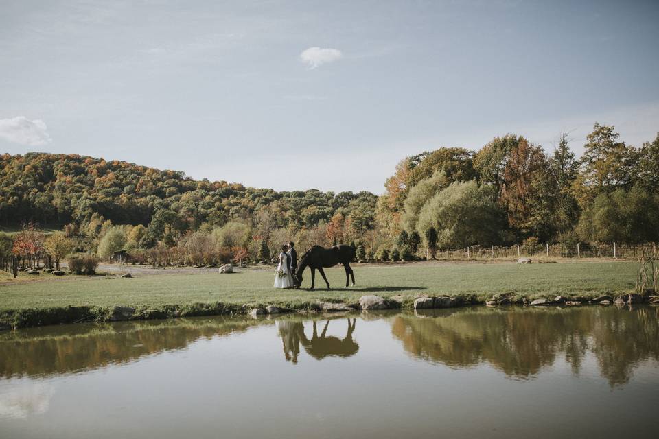 Views from the wedding barn